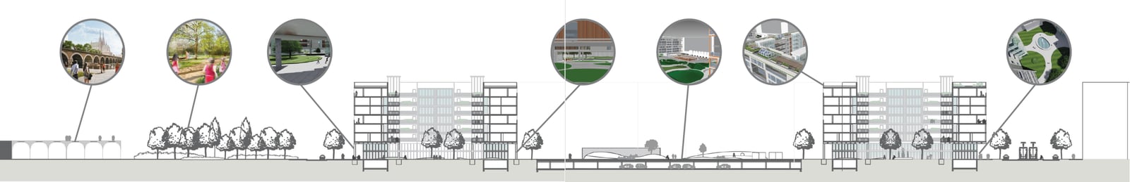 Longitudinal section through the complex